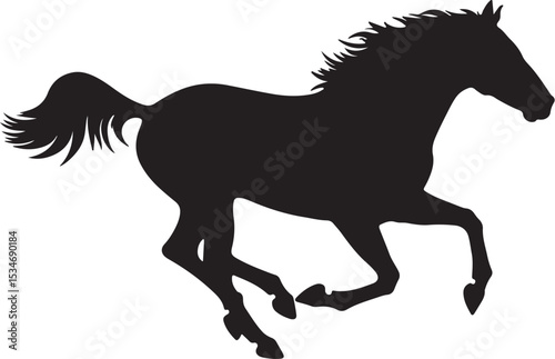 horse silhouette isolated on white