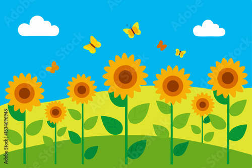 sunflower field with blue sky