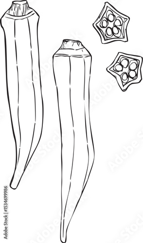 オクラ　丸ごと・輪切り　手描き線画