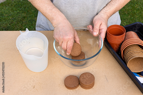 Male Gardener Places Dry Coir Compost Blocks in Glass Bowl for Rehydration