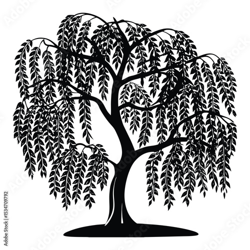 Graceful willow tree silhouette with long, drooping branches swaying gently—evoking peace, reflection, and natural elegance against a soft horizon or moonlit sky.
