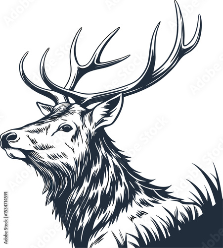Monochrome Ink Illustration of a Majestic Stag Head with Detailed Antlers