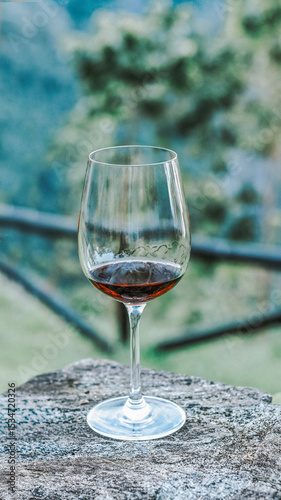 Glass of red wine resting on a blurred rock in a garden