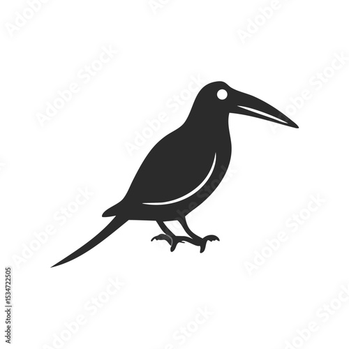 vector illustration of a bird