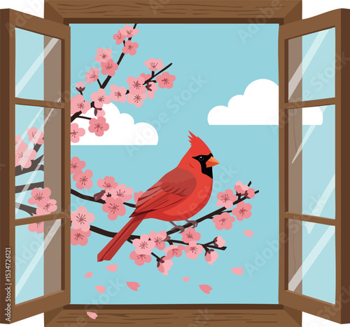 Red cardinal bird perched on cherry blossom branch outside open wooden window vector illustration 