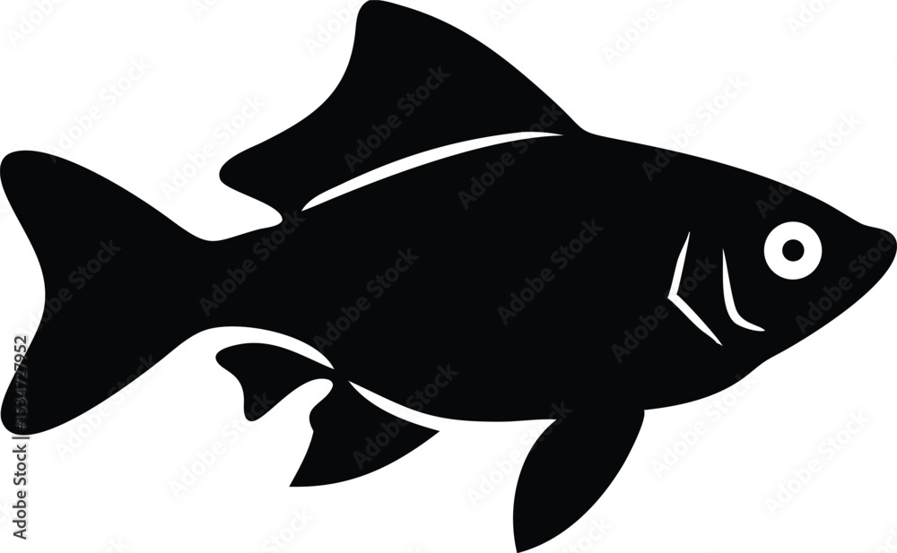 Platypus illustration on white background detailed vector graphic Platypus illustration on white background detailed vector graphic