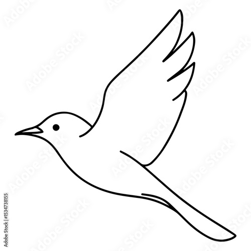vector illustration of a dove