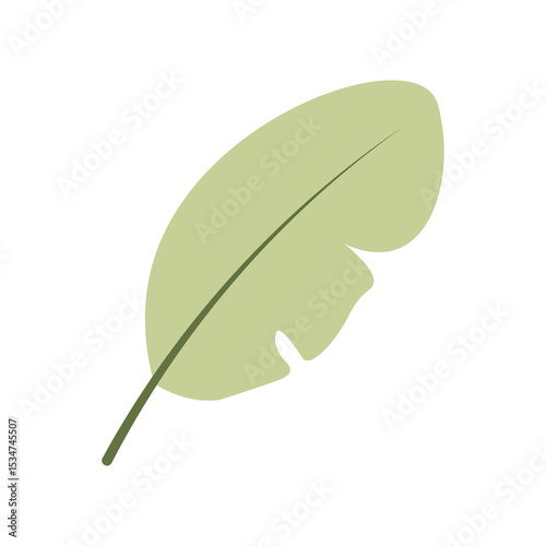 Minimalist Tropical Leaf Silhouette with Curved Cut Isolated on Transparent Background