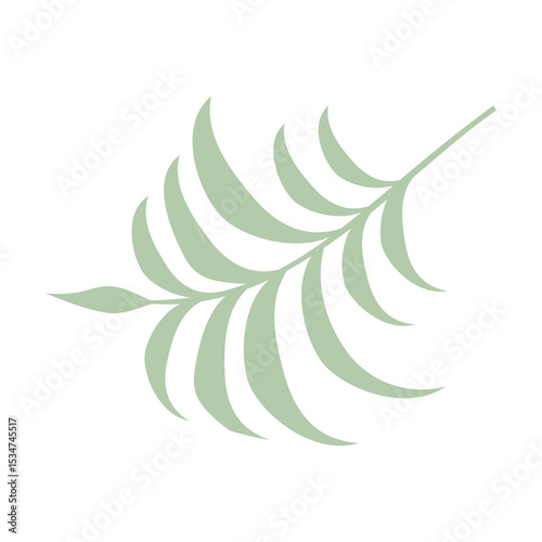 Modern Palm Leaf Branch Silhouette Isolated on Transparent Background