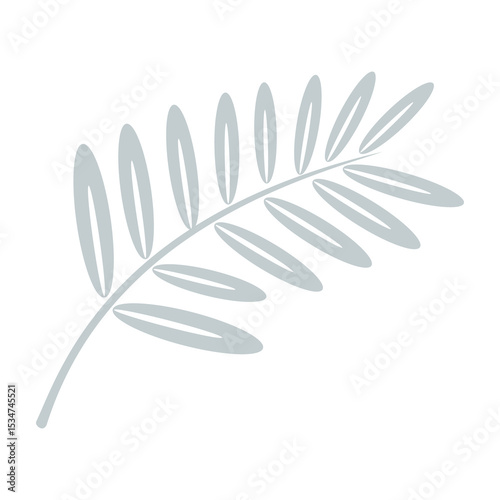 Symmetrical Oval Leaf Branch Silhouette Isolated on Transparent Background