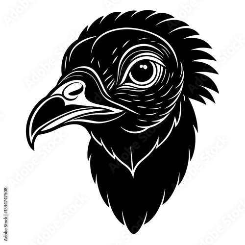 eagle head vector illustration