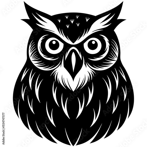 owl on white background