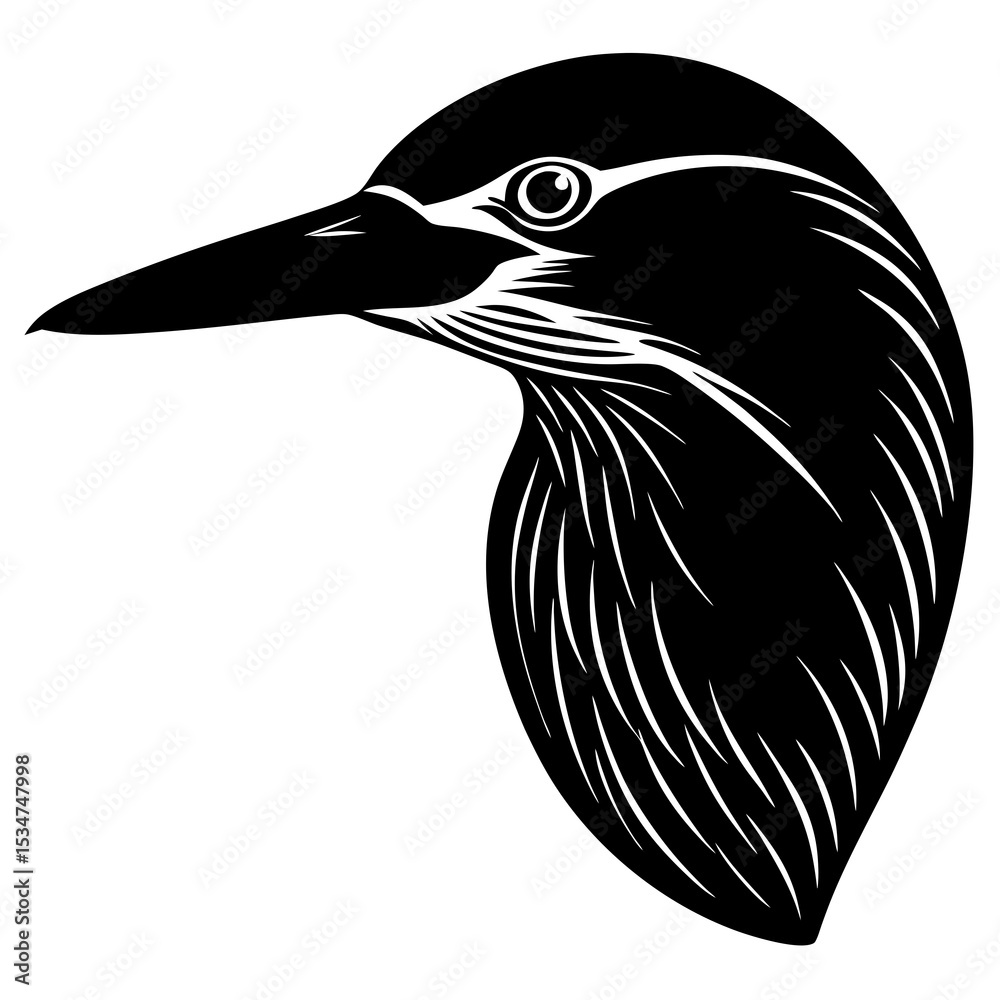 Fototapeta premium vector illustration of a bird