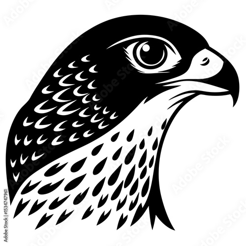 bird of prey