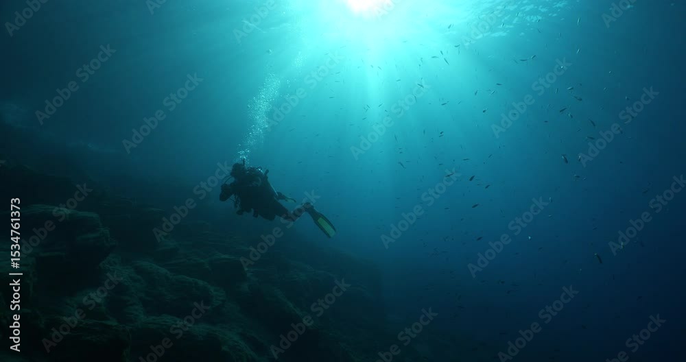 custom made wallpaper toronto digitalsilhouette scuba diver sun beam shine rays underwater ,diver relaxing blue ocean scenery of people