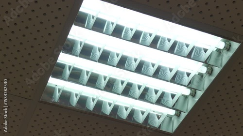 The fluorescent light on the ceiling glows with a cool, blue light.