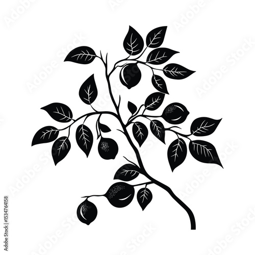 Lemon and Lime Branch with Leaves - Colorful Citrus Fruit Vector