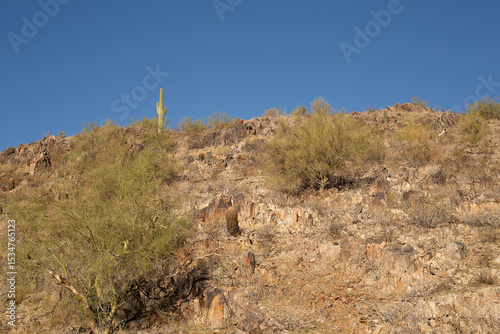 Landscape and rock formations on  Piestewa Peak