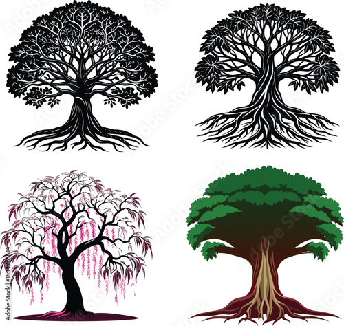 Let me know if you'd like more title variations, additional tags, or image description ideas