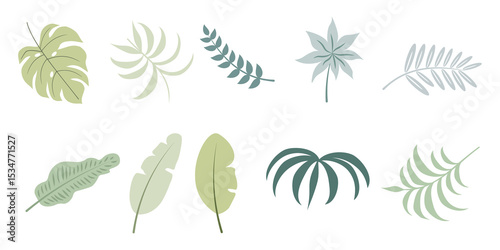 Set of 10 Minimalist Tropical Leaf Silhouettes in Flat Style Isolated on Transparent Background