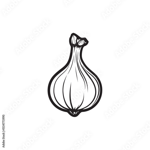 Single Drawn Garlic Bulb Illustration Minimalist Vegetable Outline on White Background