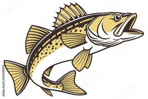 Detailed walleye fish illustration on white background