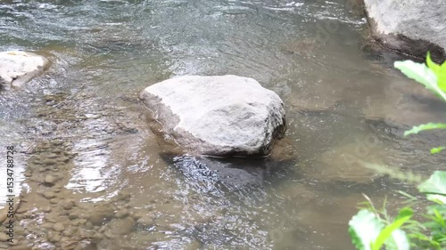 Camera zooms in on a volcanic rock carried by the current in a river that flows volcanic activity.