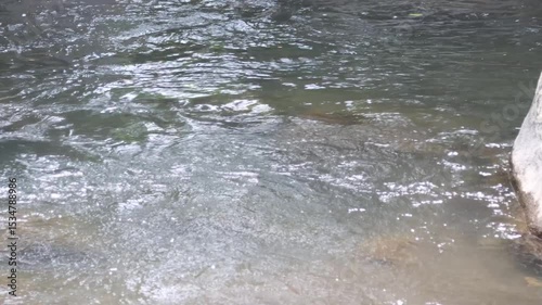 A view of a river with clear water and stones in the river basin which is the path of volcanic activity