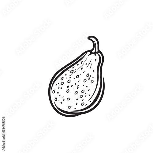 Black and White Illustration of a Seeded Vegetable, Possibly a Pear or Gourd Type