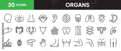 Organs icon set in line style. Collection of part of human bodies linier icons. including head, eyes, ear, mouth, heart, bone, teeth, brain, hair, etc. Editable stroke