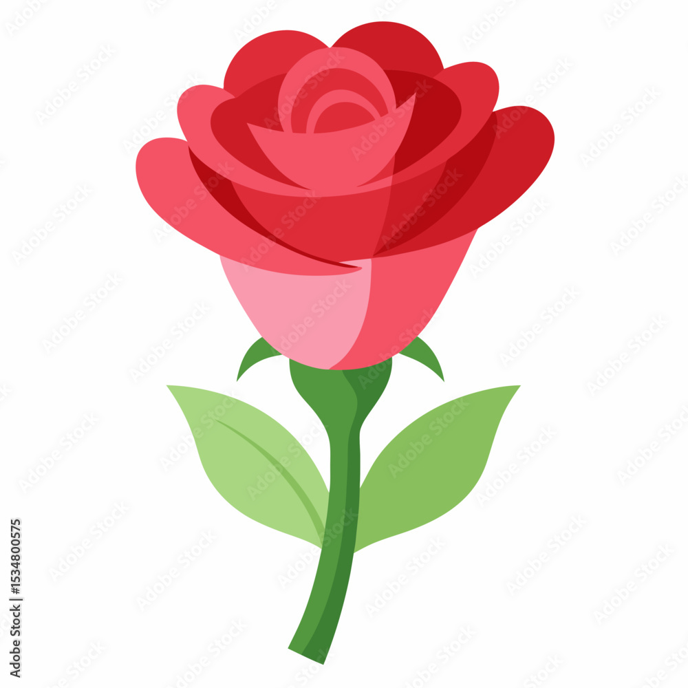 Fototapeta premium red rose isolated on white background
