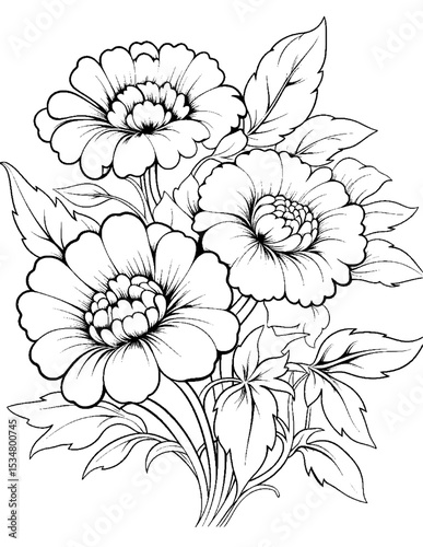 Black and white color pages