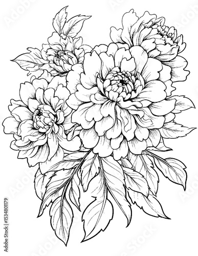 Black and white color pages