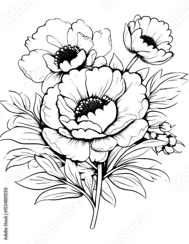 Black and white color pages