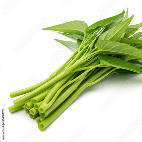  Morning glory or water spinach (Ipomoea aquatica), fresh green hollow stems and pointy leaves, isolated on white photo