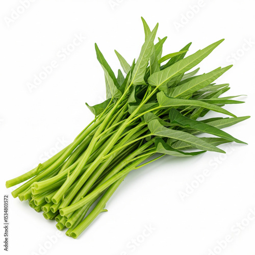  Morning glory or water spinach (Ipomoea aquatica), fresh green hollow stems and pointy leaves, isolated on white  photo