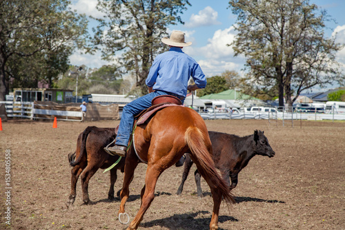 Rider competing in horse and cattle event at local show photo