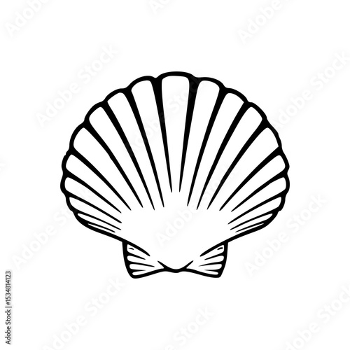 simple scallop shell vector outline