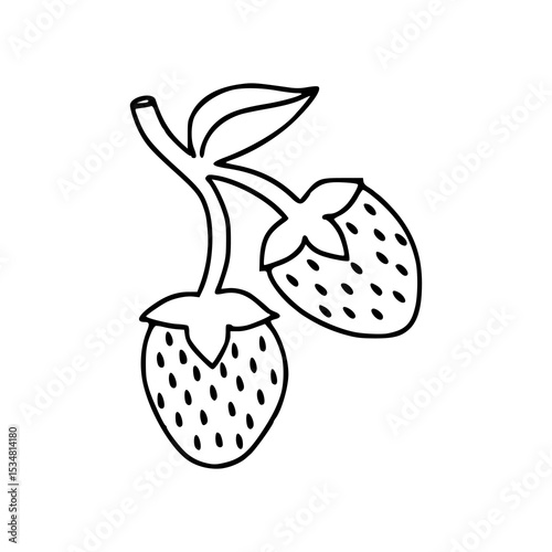 simple outline of two strawberries