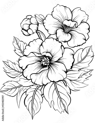 Black and white color pages for kids