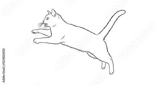 Energetic Cat Leaping in Mid-Air While Chasing a Small Toy in an Illustrative Style