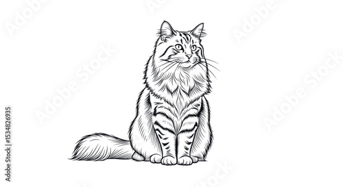 Detailed Illustration of a Regal Domestic Cat Sitting Gracefully with a Fluffy Coat