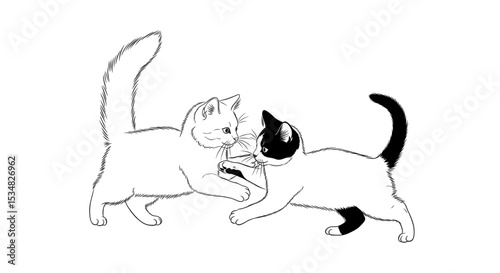 Two Playful Cats Engaging in Friendly Playfight with Lively Expressions and Wagging Tails