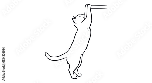 Playful Cat Stretching and Reaching for High Object with Curiosity and Agility