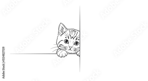 Playful Gray Tabby Cat With Distinctive Markings Looking Curiously Over A Surface