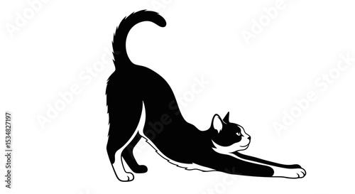 Stretching Black and White Cat Demonstrating Agility and Flexibility in a Playful Pose