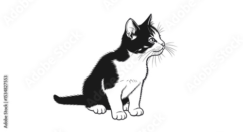 Black And White Cat Sitting Gracefully With A Playful Expression And Curious Demeanor