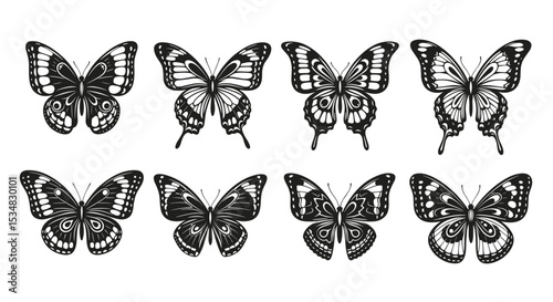 A Collection of Eight Butterfly Illustrations Depicting Various Butterfly Wing Patterns and Designs