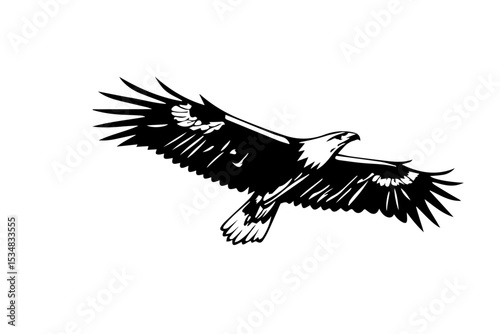 falcon flying silhouette Eagle with spread wings - cut out vector silhouette
