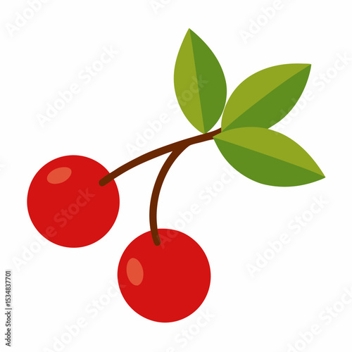 Cherry tree branch with blossoms and fruits illustration